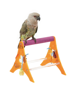Adventure Bound Acrylic Bird & Parrot Stand Toy